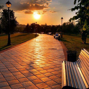 午夜激情视频网站
